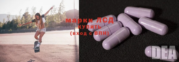 дживик Ельня