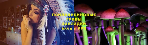 прущие крисы Арсеньев