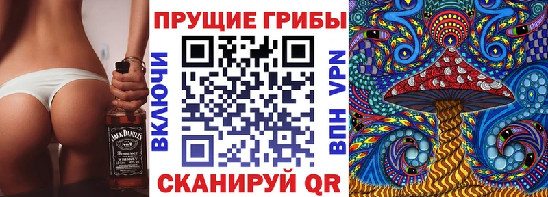 Псилоцибиновые грибы Psilocybe  дарк нет формула  Гдов 