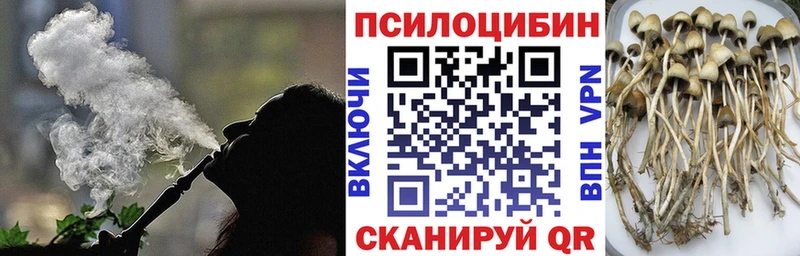 Галлюциногенные грибы мицелий Гдов
