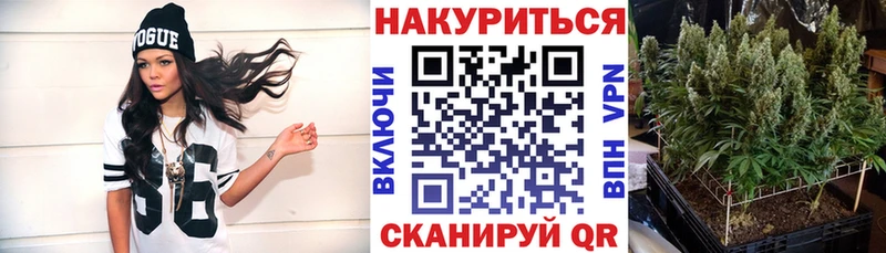 маркетплейс наркотические препараты  Гдов  Канабис планчик 